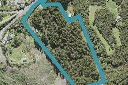 60 Bethells Road, Henderson