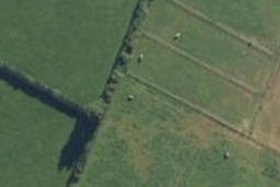15 Buxton Crescent, Matamata, Matamata