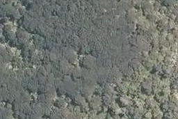 0 Hihi Road, Hihi, Mangonui