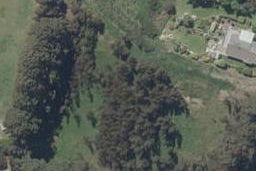 40F Marshall Street, Bradford, Dunedin