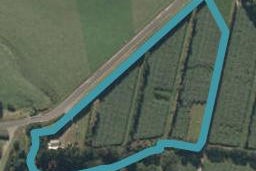 199 Rea Road, Tahawai, Katikati