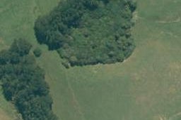 323 Matakana Valley Road, Matakana, Matakana