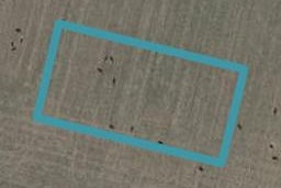3 Parkside Avenue, Feilding, Feilding