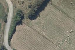 14 McFarlane Lane, Halfway Bush, Dunedin