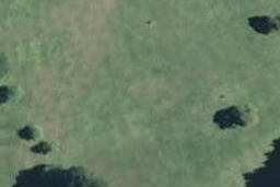37 Arran Drive, Aongatete, Aongatete