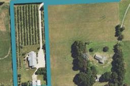 40B Cameron Road, Makauri, Gisborne