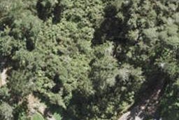 92 Lonely Track Road, Redvale, Auckland