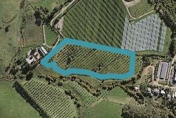 24 Totara Road, Onetangi, Waiheke Island