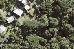 23 Beach Valley Road, Piha, New Lynn