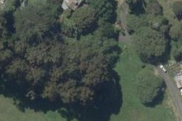 87 Selwyn Street, North East Valley, Dunedin