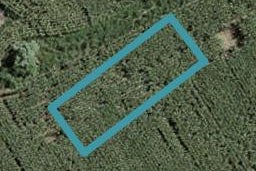 36 Uatoto Road, Clarks Beach, Clarks Beach