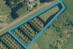 22 Charisma Road, Glenbrook, Waiuku