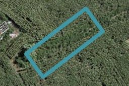 34 Uatoto Road, Clarks Beach, Clarks Beach