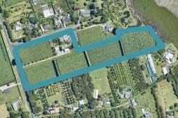 14 Park Lane, Te Puna, Tauranga