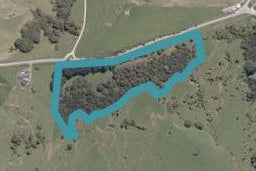 175 Dill Road, Kaipara Flats, Warkworth