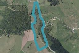 464 Pukehuia Road, Tangiteroria, Tangiteroria
