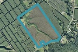 0 Copenhagen Road, Te Kaha, Te Kaha