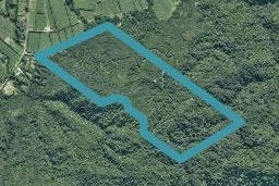 0 Copenhagen Road, Te Kaha, Te Kaha
