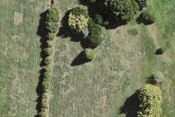 11 Grain Road, Ōpaheke, Papakura