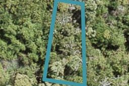 80 Yozin Road, Swanson, Auckland
