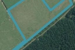 226 Kopuku Road, Maramarua Forest