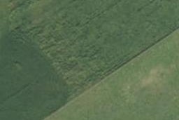 0 Sunridge Park Road, Morrinsville, Morrinsville