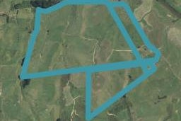 215 Karakariki Road, Whatawhata, Hamilton