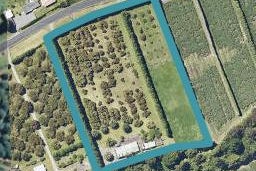 81 Wharawhara Road, Tahawai, Katikati