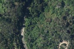 0 Ohiwa Loop Road, Waiotahe, Opotiki