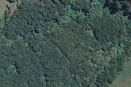 77 Bachelors Road, Little River, Little River
