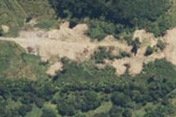 55 Stuart Street, Lake Kaniere, Kokatahi