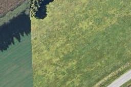 99 Te Rahu Road, POROPORO, WHAKATANE