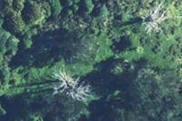 0 Toetoe Road, Tarata, Tarata