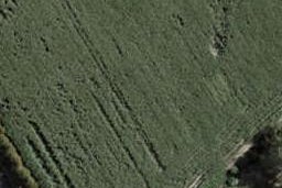 107 Mutetai Road, Clarks Beach, Clarks Beach