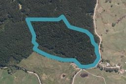 972 Bickerstaffe Road, Maungaturoto