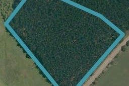 270 Austin Road, Dairy Flat, Dairy Flat