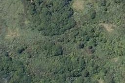 0 Motukiore Road, Horeke, Okaihau