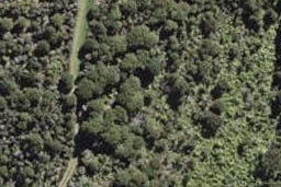 72 Park Point Drive, Waiheke Island, Waiheke Island