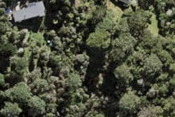 137 The Avenue, Lucas Heights, Auckland