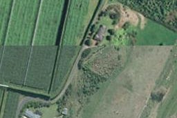 159D Brown Road, Te Puke, Te Puke