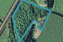 349 Te Matai Road, Te Puke, Te Puke