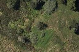 16 Royal Saint Annes Drive, Te Kamo, Whangārei
