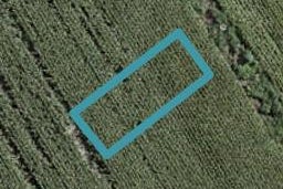 63 Mutetai Road, Clarks Beach, Clarks Beach