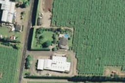 535 No 3 Road, Te Puke, Te Puke