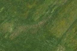 40 Sycamore Drive, TE KAMO