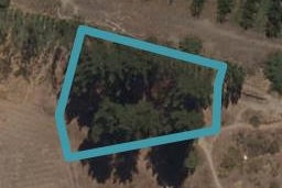 24 Searle Drive, Cromwell, Cromwell