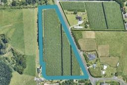 143 Keenan Road, PYES PA, TAURANGA