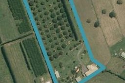 480A Youngson Road, Whakamarama, Whakamārama