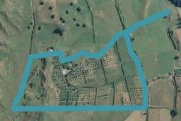 428 Tirohanga Road, Tirohanga, Opotiki