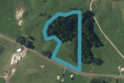 183 Warea Road, Warea, Warea